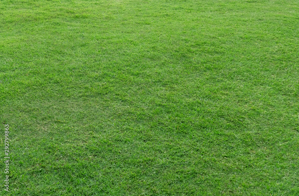 Green grass texture for background. Green lawn pattern and texture background. Green grass texture for background. Green lawn pattern and texture background.