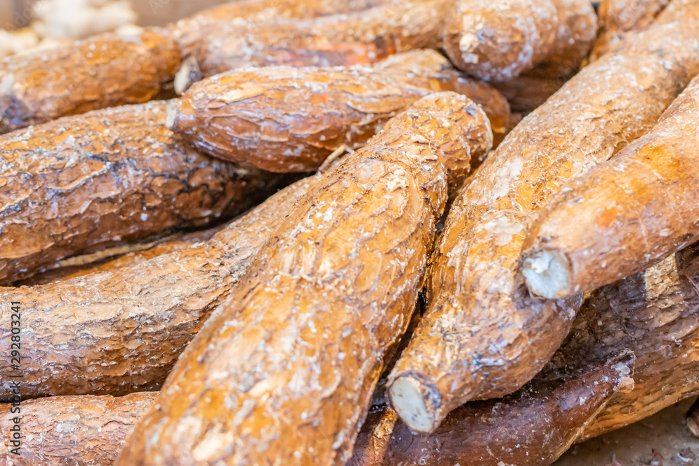 Pile of yuca root tubers under bright light, with dark brown skin, being sold at a farmer's market. Also called cassava root. Pile of yuca root tubers under bright light, with dark brown skin, being sold at a farmer's market. Also called cassava root.