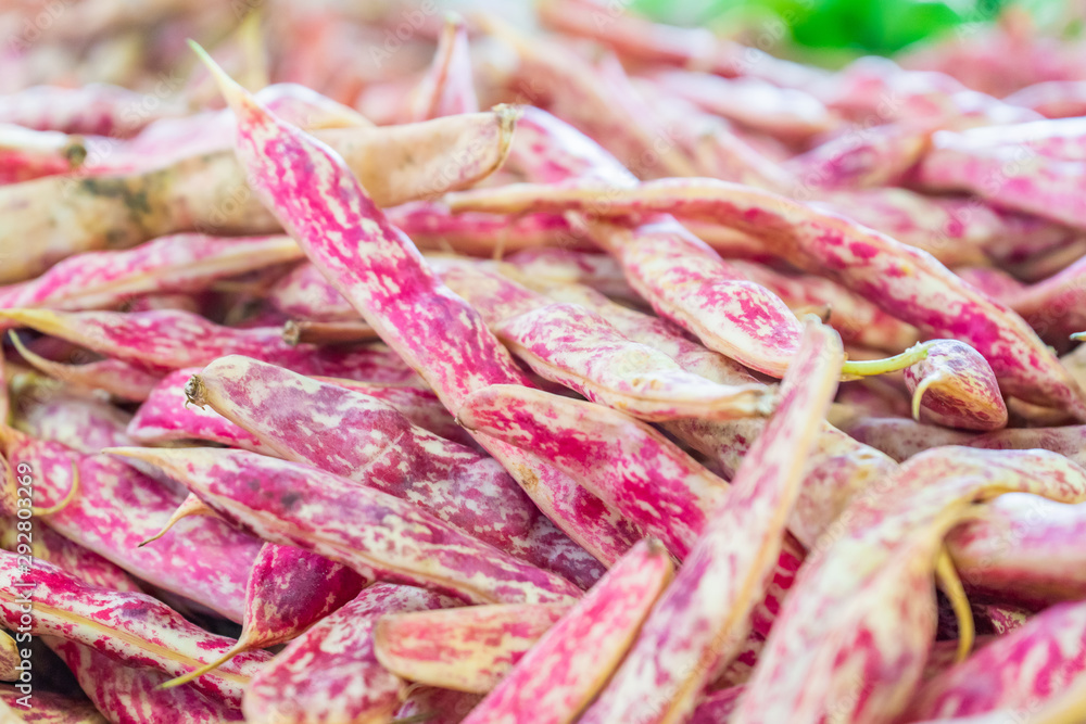 Pile of red romano beans (italian pole beans), being sold at a farmer's market. Red and white texture on the bean pods are showing. Pile of red romano beans (italian pole beans), being sold at a farmer's market. Red and white texture on the bean pods are showing.
