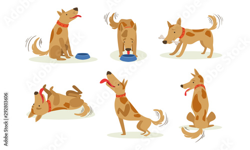 Collection of Funny Brown Dog in Different Situations Set, Cute Happy Animal Cartoon Character Vector Illustration