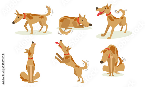 Collection of Funny Brown Dog in Different Situations Set, Cute Cheerful Animal Cartoon Character Vector Illustration © topvectors