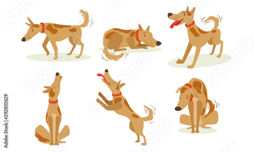 Collection of Funny Brown Dog in Different Situations Set  Cute Cheerful Animal Cartoon Character Vector Illustration