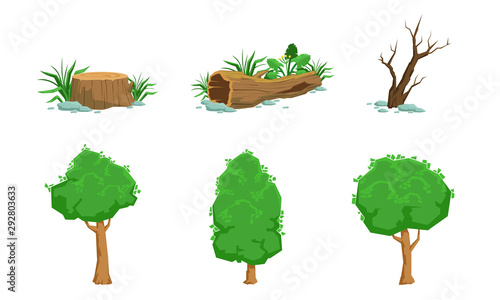 Nature Landscape Elements Set, Green and Dead Trees Vector Illustration