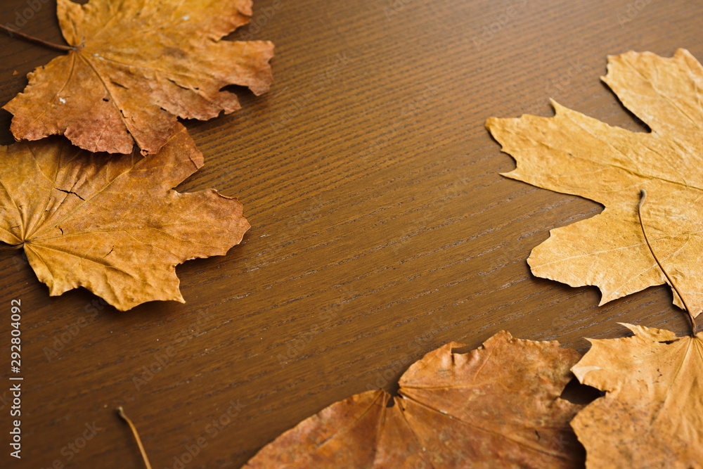 Dried dry maple leaves on wooden background. Autumn background, fall, thanksgiving day concept. Flat lay, top view with copy space. Dried dry maple leaves on wooden background. Autumn background, fall, thanksgiving day concept. Flat lay, top view with copy space.