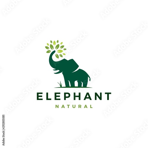elephant leaf leaves tree logo vector icon illustration