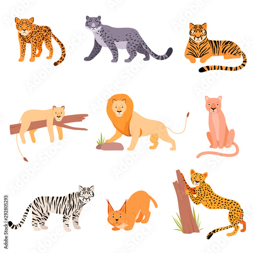 Set of wild cats. Vector illustration on a white background.