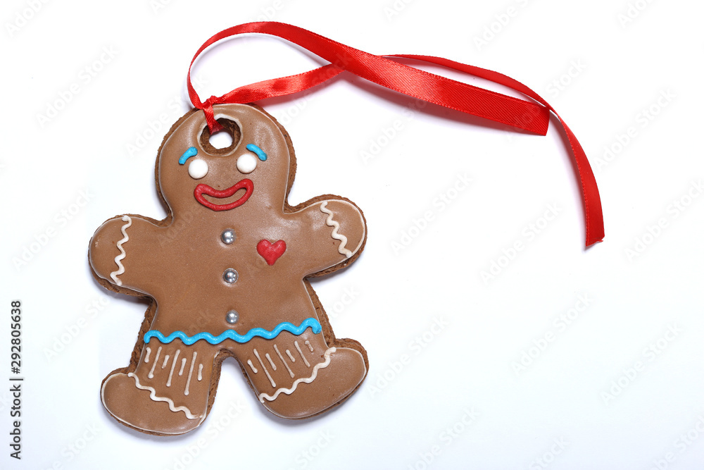 Fototapeta premium Gingerbread Cookie
