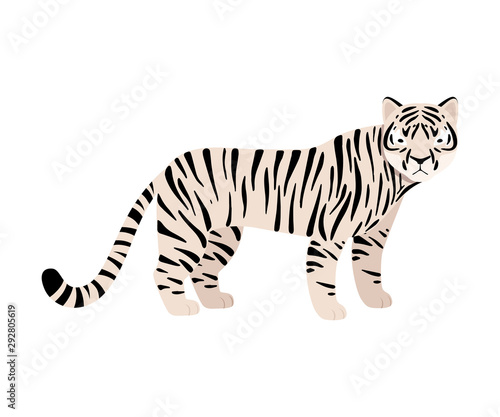 White tiger. Vector illustration on a white background.