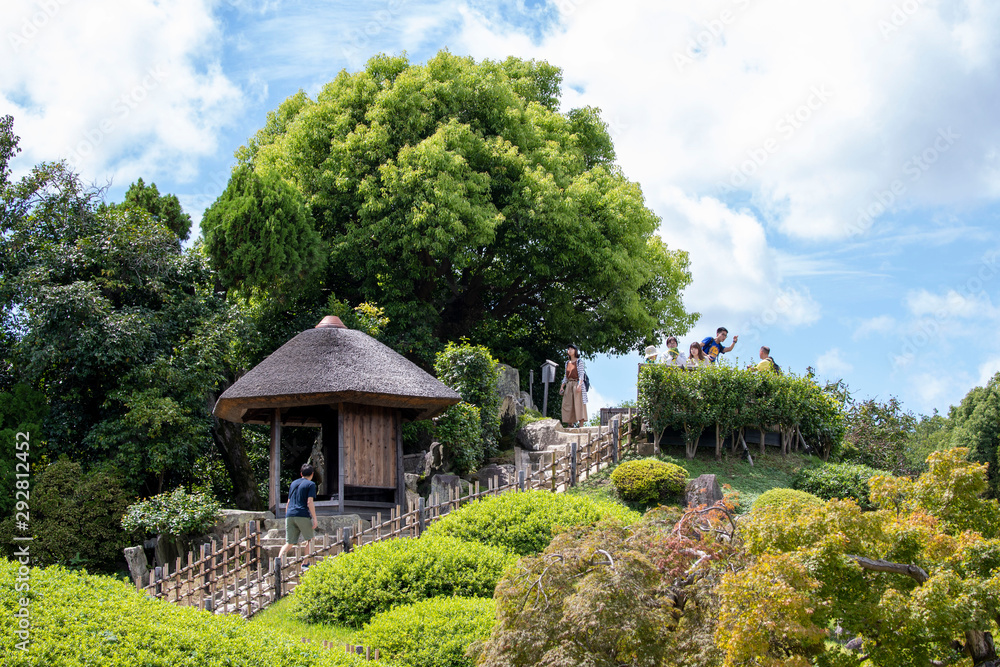 Japanese garden 