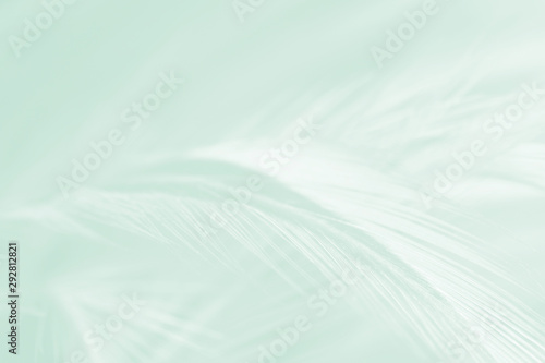 Beautiful feather color light green pattern texture cool background