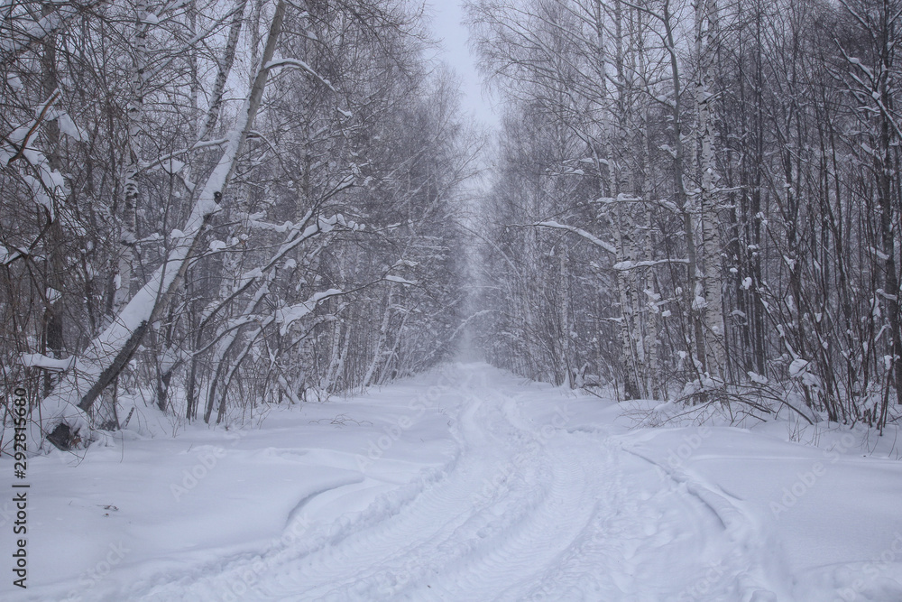 Obraz premium Winter in the Russian outback