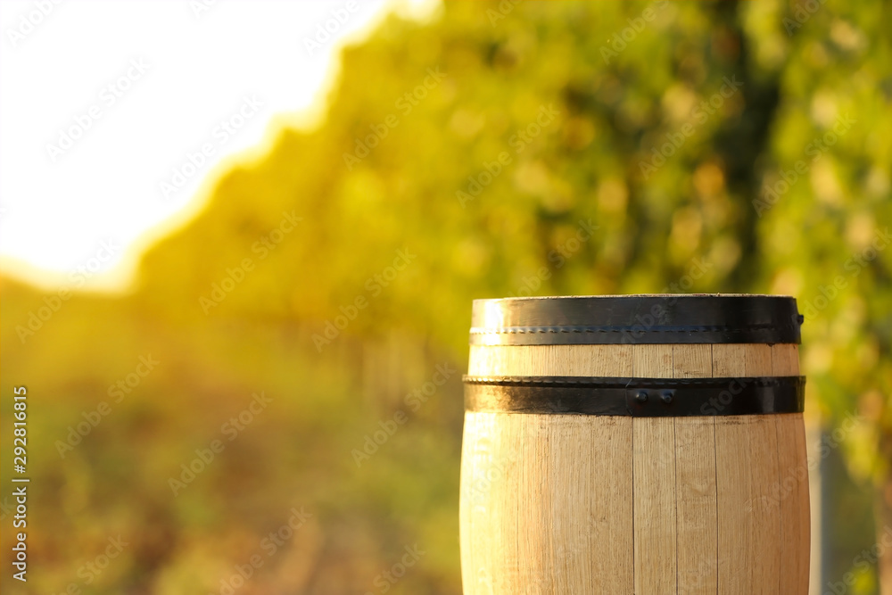 Wooden wine barrel at vineyard, space for text