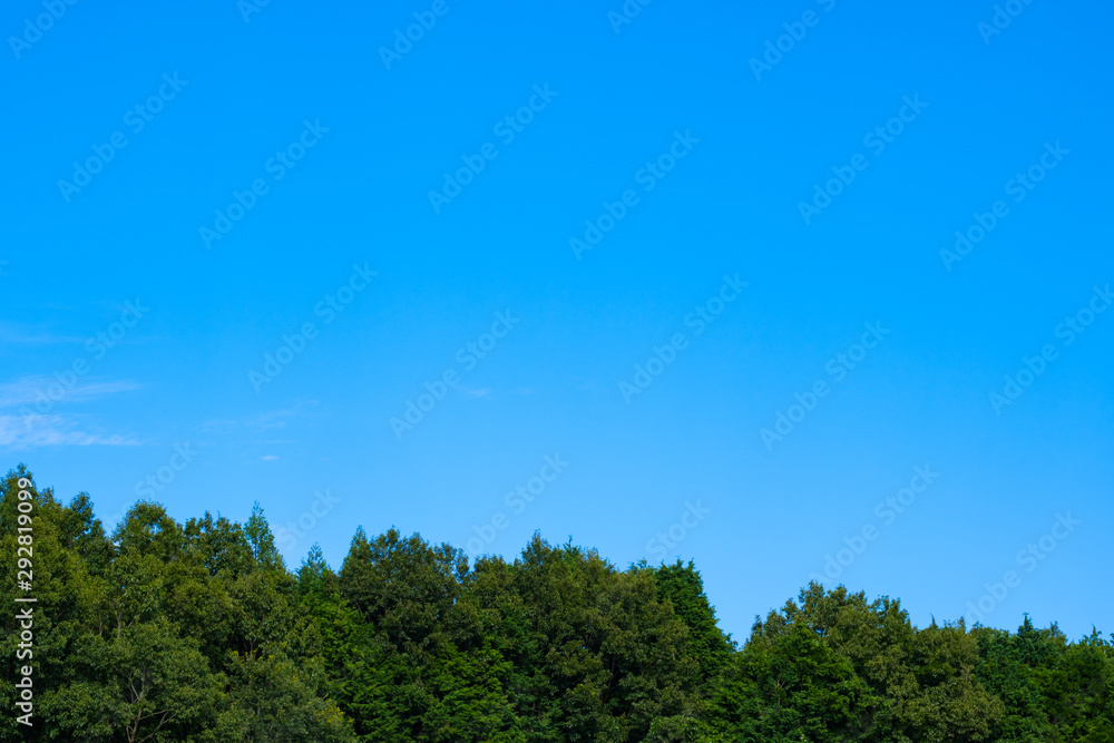 Obraz premium 【写真素材】 青空 空 雲 秋の空 背景 背景素材 9月 コピースペース 