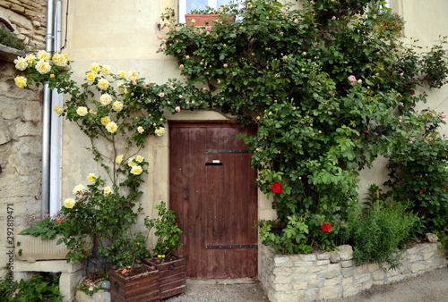 Ancient wooden entrance doors with rustic metal nails, surrounded by plants (roses and jasmin), Provence, France