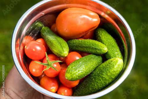 Hand holding bowl full of fresh tomatoes and cucumbers