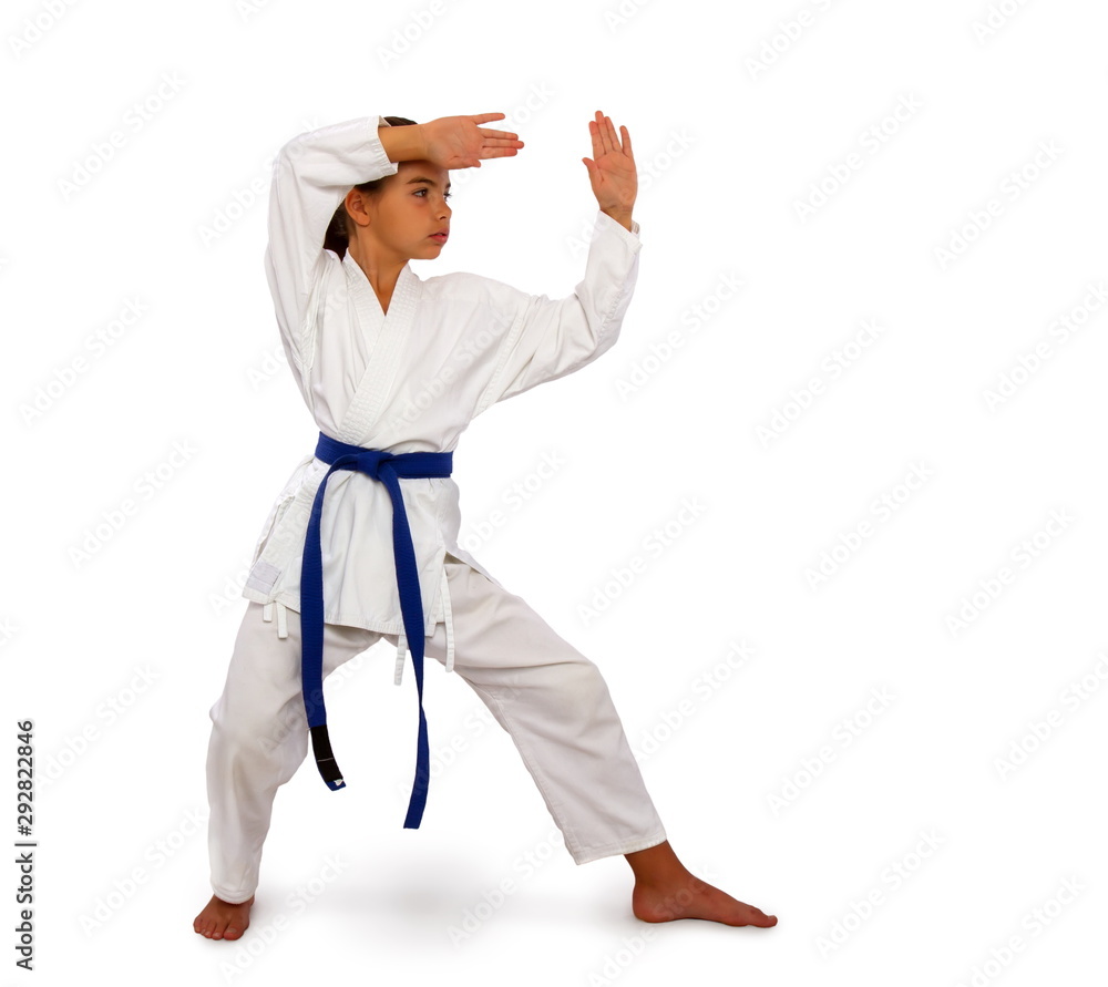 little karateka girl little karateka girl