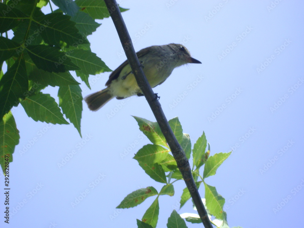 Obraz premium ecuador