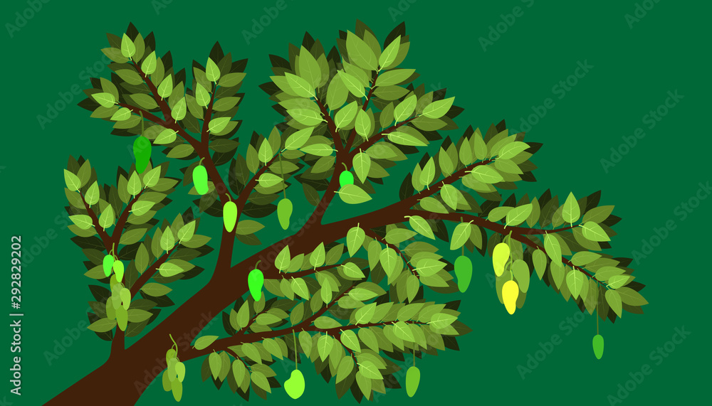 Fototapeta premium the minimal mango and tree with big branch and element of leaf and many product. fruite and plant natural. vector illustration eps10.