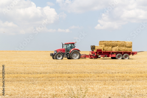 Tractor collecting straw bales during harvesting in the field at nice blue sunny day.