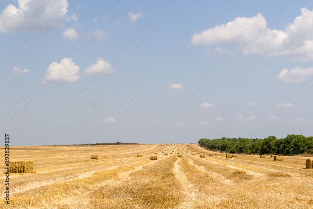 A farm harvested field with straw bales  in the countryside in summer.