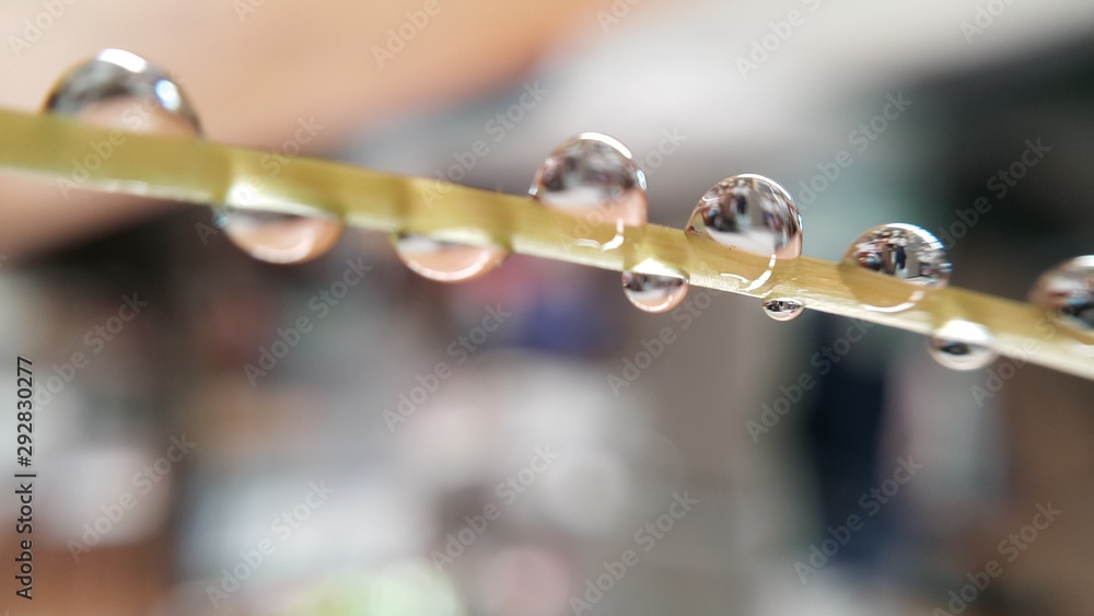 drops on a leaf drops on a leaf