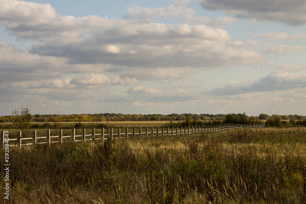 Field with Golden high sedge and wooden fence in perspective autumn day Выделите текст, чтобы посмотреть примеры