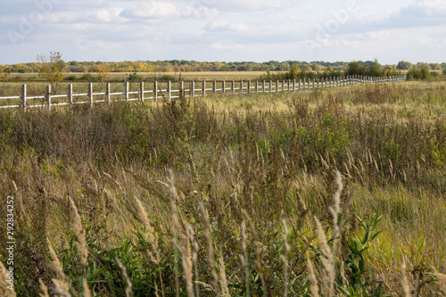 Field with Golden high sedge and wooden fence in perspective autumn day Выделите текст, чтобы посмотреть примеры