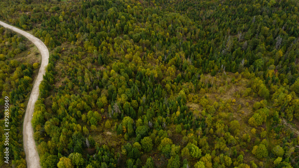 Aerial view of Forest destruction, Deforestation, Environmental problem.