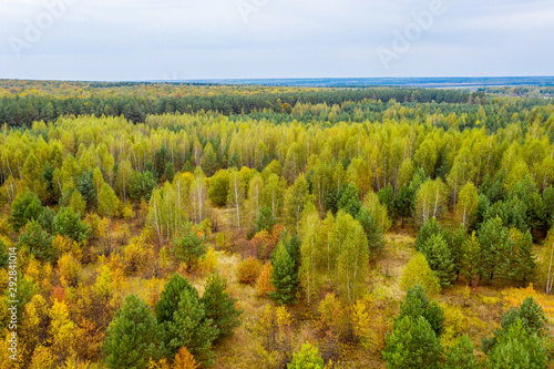 Aerial photography with quadrocopter autumn colorful forest  colorful bright caps of trees from a bird s eye view