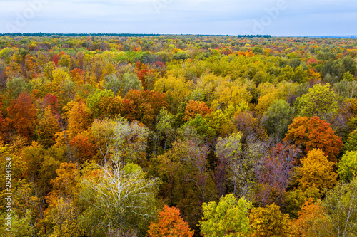 Aerial photography with quadrocopter autumn colorful forest  colorful bright caps of trees from a bird s eye view