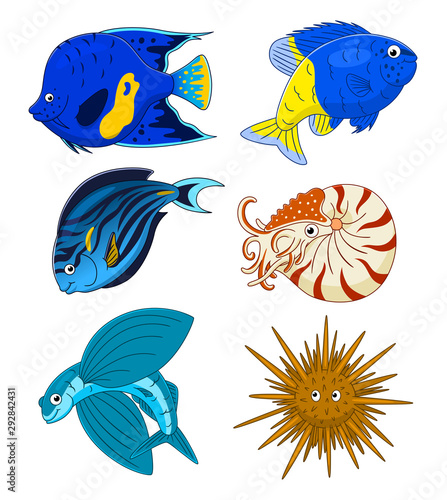 Set of six fish and underwater animal set