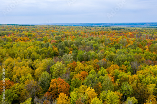 Fototapeta Naklejka Na Ścianę i Meble -  Aerial photography with quadrocopter autumn colorful forest, colorful bright caps of trees from a bird's eye view
