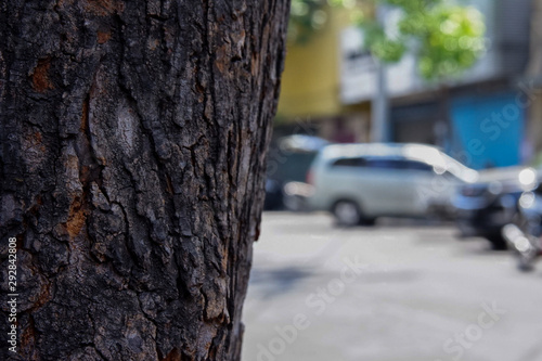 Tree bark texture against the blur background of several vehicles
