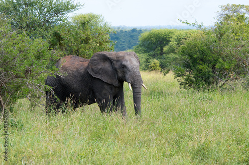 Safari Tanzania Zanzibar