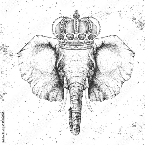 Hipster animal elephant in crown. Hand drawing Muzzle of elephant