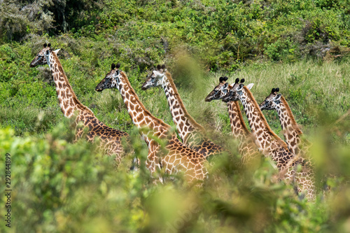 Photography Safari Tanzania