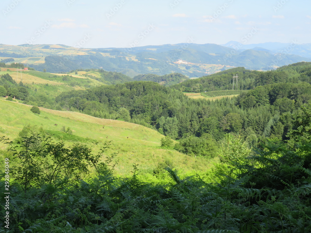Green sunny valley - landscape with hills slopes