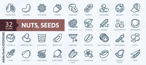 Nuts, seeds and beans elements - minimal thin line web icon set. Outline icons collection. Simple vector illustration. photo