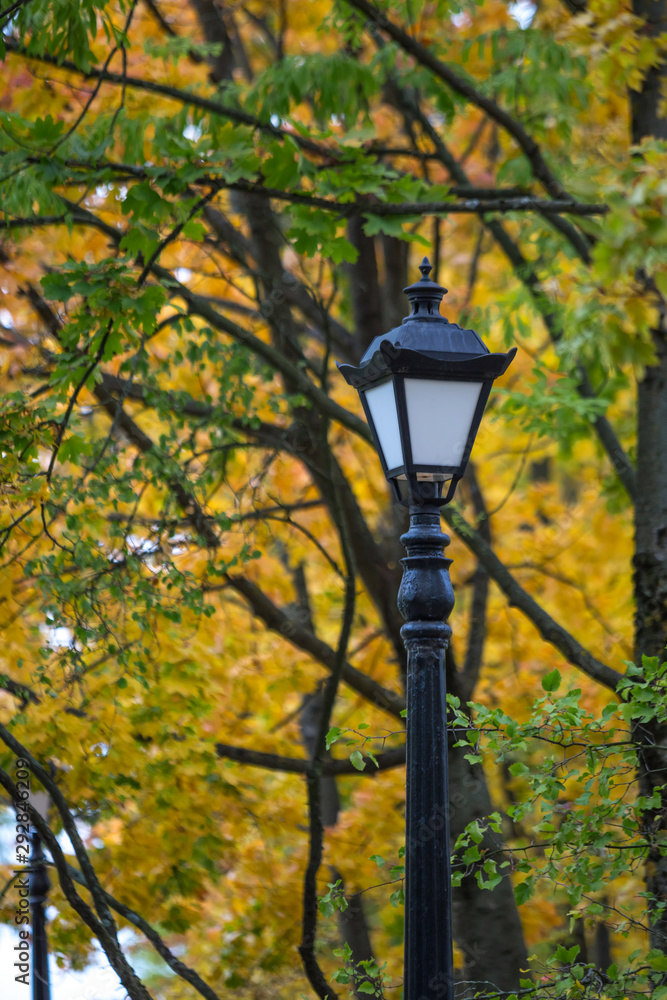 Old-fashioned street lamp on a cast-iron pole against a background of autumn trees with yellow - green foliage. Autumn city Park.