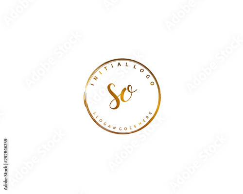 SO Initial handwriting logo vector