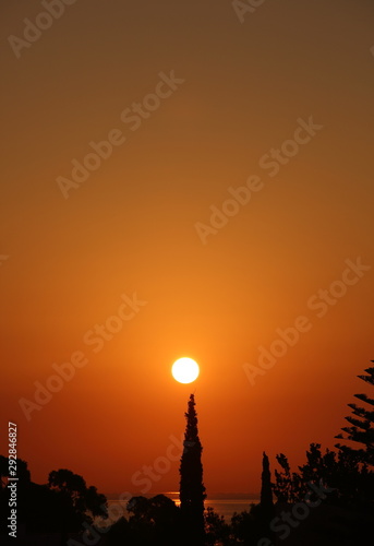 silhouette sunrise landscape, sun over tree and sea, orange sky