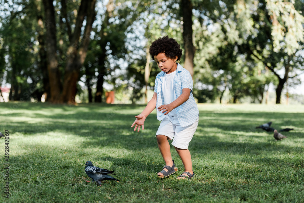 cute african american kid gesturing while looking at pigeons cute african american kid gesturing while looking at pigeons