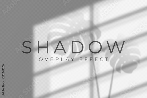 Shadow overlay effect. Vector shadow and light overlay effect, natural lighting scene. Mockup of transparent shadow from windows and palm leaves. Realistic transparent light refraction