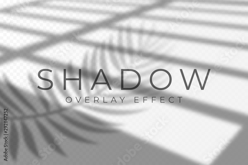Shadow overlay effect. Vector shadow and light overlay effect, natural lighting scene. Mockup of transparent shadow from windows and palm leaves