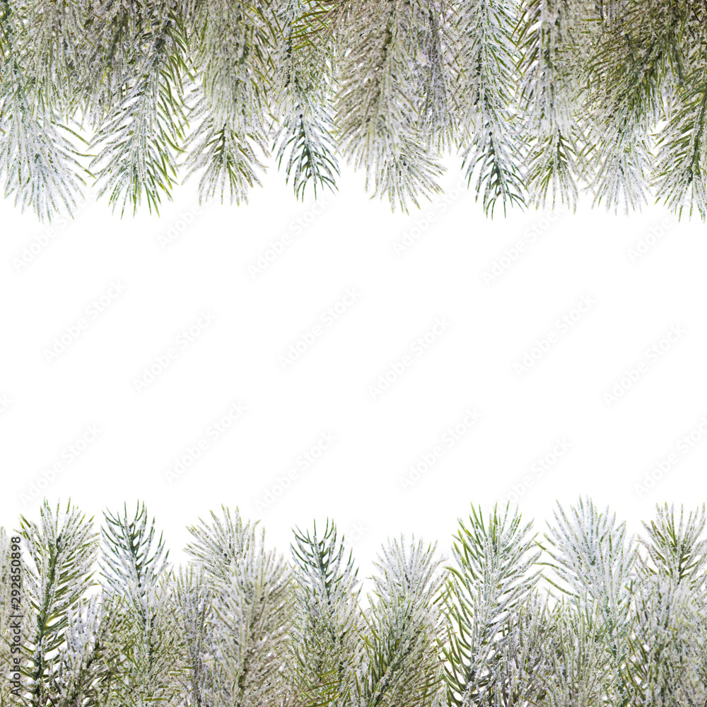 Christmas composition border. Xmas green winter fir branch on white