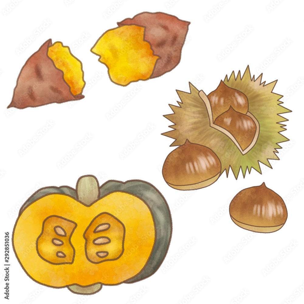 秋の味覚 いもくりかぼちゃ 芋栗南瓜 イラスト素材 水彩風 Stock イラスト Adobe Stock 秋の味覚 いもくりかぼちゃ 芋栗南瓜 イラスト素材 水彩風 Stock イラスト Adobe Stock