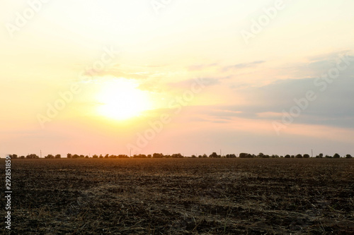 Field and beautiful sunset