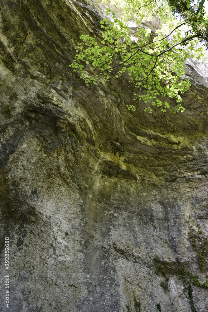 falaise falaise