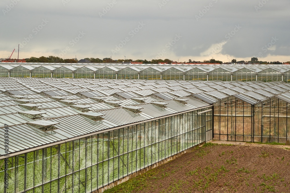 Large area of greenhouses in the Netherlands Large area of greenhouses in the Netherlands