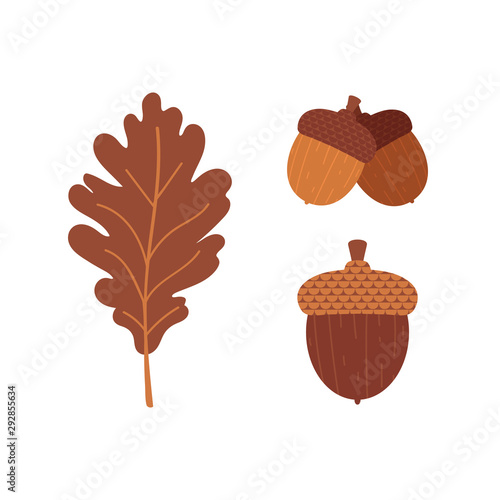 Oak leaf and acorns icon set, collection for autumn, fall design.